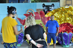 DSC0254