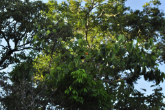 DSC0498
