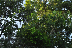 DSC0500