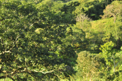 DSC0507